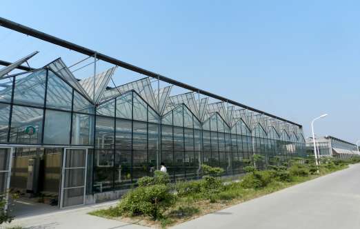 玻璃温室（河南农园） 照片