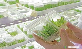 上海大地园艺种苗有限公司 照片