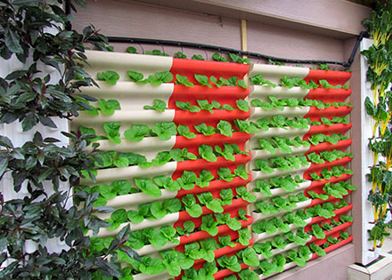 叠槽式墙体栽培设施（绿东国创） 照片