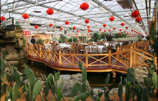 生态餐厅（上海都市绿色） 照片