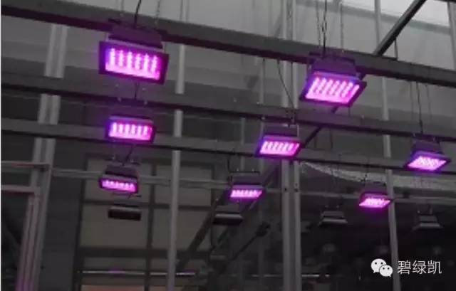 LED植物生长灯 （北京华农） 照片