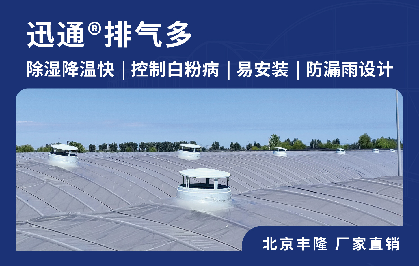 迅通温室顶部风机排风扇 除湿通风降温 北京丰隆 厂家直销 照片